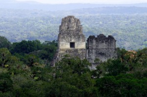 guat5 Tikal