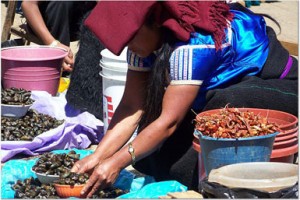 Oaxaca market