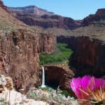 hav4 Havasupai Falls