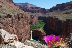 Havasupai Falls