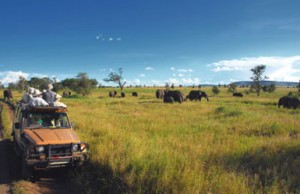 Kenya safari