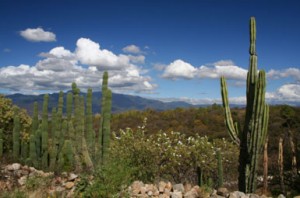 Oaxaca Spiritual journey
