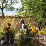 oaxaca26 Day of the Dead