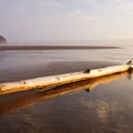 Oregon Coast