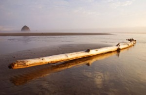 Oregon Coast