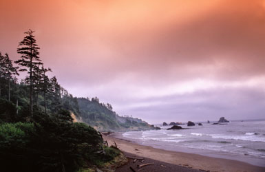 Oregon Coast
