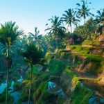 bali5 Bali Spiritual Journey