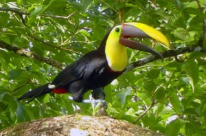 Costa Rica Spiritual Retreat