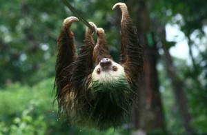 Costa Rica Spiritual Retreat