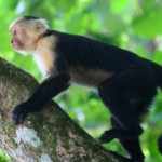 cr3 Costa Rica Spiritual Retreat