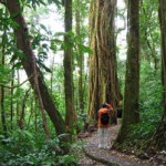 cr5 Costa Rica Writing Down Your Soul Retreat