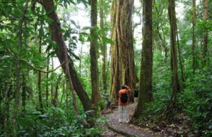 Costa Rica Writing Down Your Soul Retreat