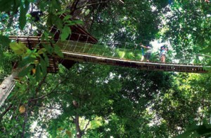 Costa Rica Spiritual Retreat