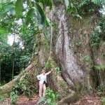 cr8 Costa Rica Writing Down Your Soul Retreat