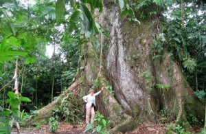 Costa Rica Writing Down Your Soul Retreat