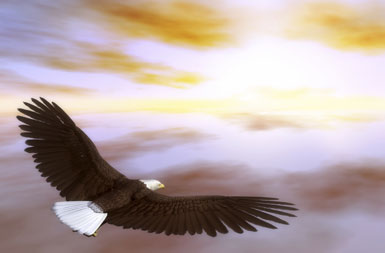 NORTH DAKOTA: Vision Quest into the Badlands – June 26 – July 7th, 2010