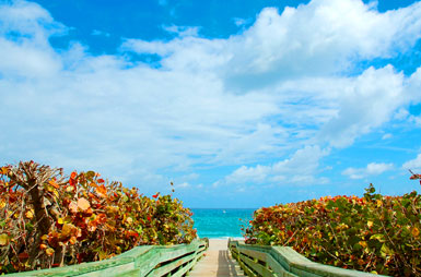 PERSONAL INTENSIVES in St. Pete Florida – Custom dates available