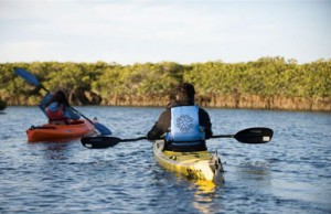 Magdalena Bay