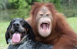 EFG4546 Surya and Rosco