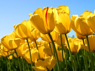 Journeys of the Spirit® Newsletter March 21st, 2012