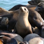 Monterey travel photography