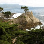 Monterey photography workshop