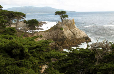 THE MONTEREY PENINSULA: A Photography Retreat – Oct 19-23, 2011