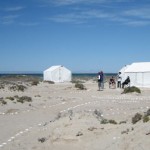 mag3 Whale Watching Magdalena Bay