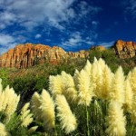 zion1 Zion National Park Painting Retreat