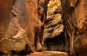 Zion National Park Artist Retreat