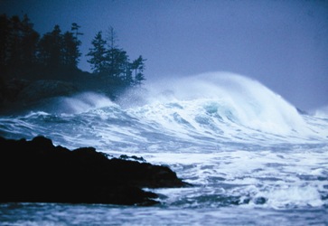 Storm Watching on Vancouver Island