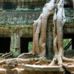 cam12 Angkor Wat, Cambodia Spiritual Journey