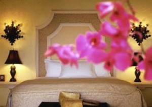 Zoetry bedroom-flower Zoetry bedroom-flower