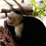 gg7 Costa Rica Spiritual Retreat